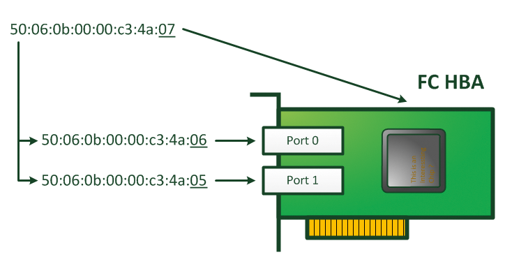 The World Wide Node Name (WWNN) and the two World Wide Port Names (WWPNs) on a dual port Fibre Channel adapter. 