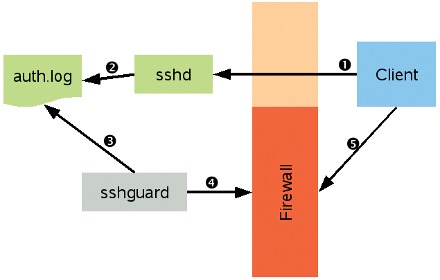 The SSH daemon logs client requests (1) in the auth.log file (2). Then sshguard (3) monitors the file and creates a firewall rule (4) that blocks the client (5) if it notices to many login attempts. 