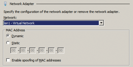 Managing virtual MAC addresses in Hyper-V. 