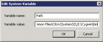 Adding the Cygwin\bin folder to the path variable. 