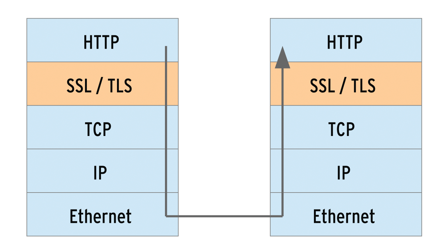 SSL actually forms a separate intermediate layer in the protocol stack but is typically seen as belonging to the transport or TCP layer. 