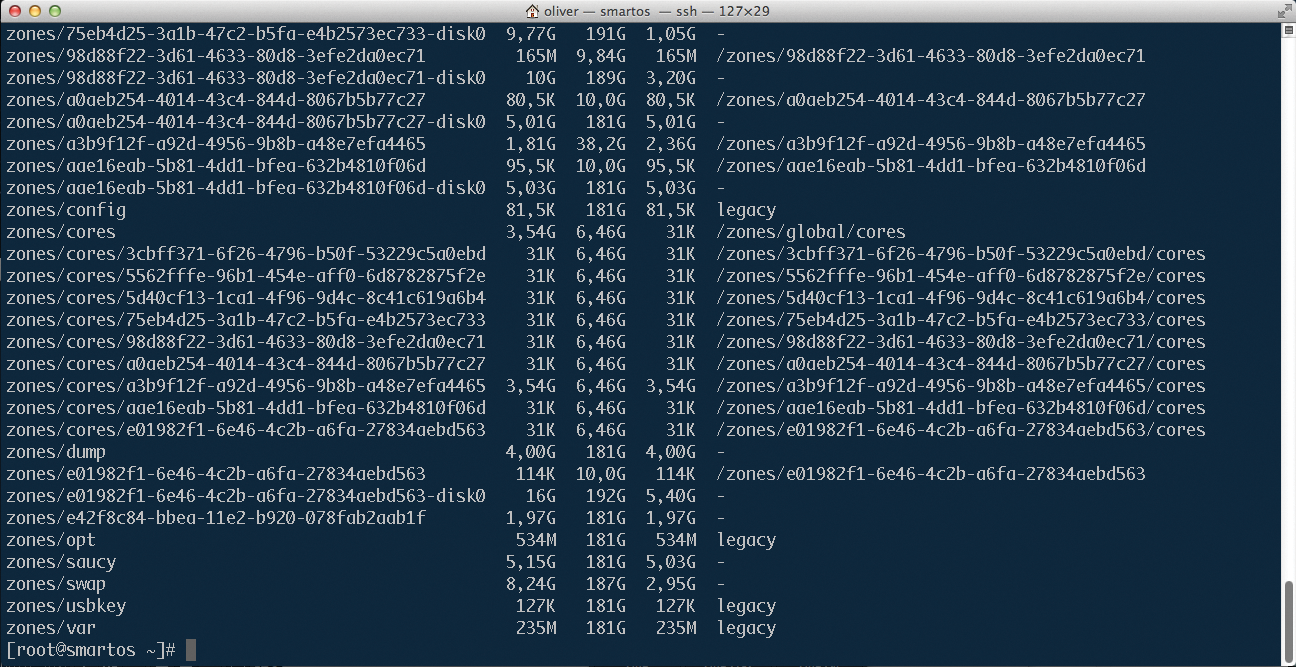 A gaggle of ZFS volumes: SmartOS makes use of the Solaris filesystem's snapshot capabilities. 