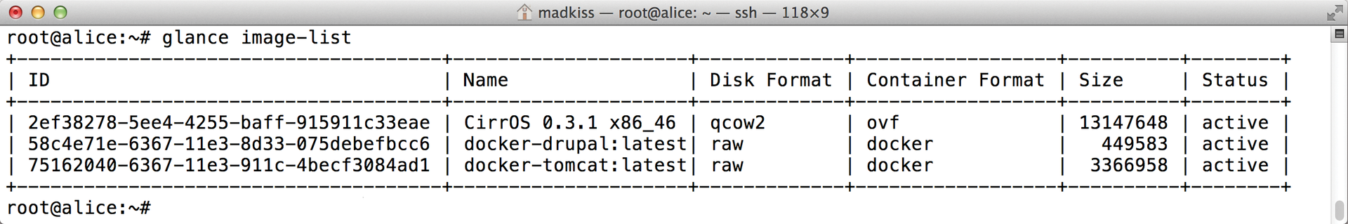 The Glance OpenStack image service can use Docker containers as images after a small configuration change. 