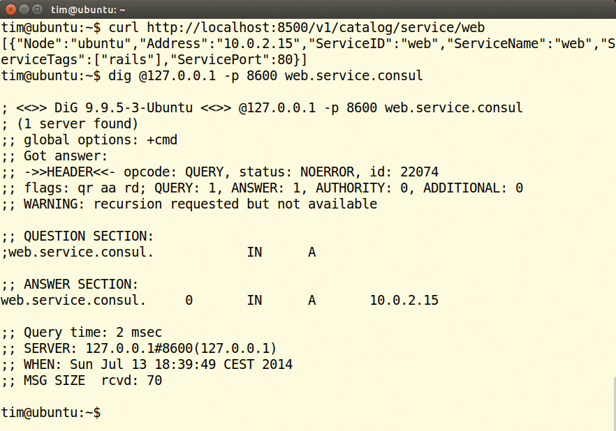 The two commands retrieve information about the web service. The first command uses the HTTP interface, the second the built-in DNS server from the Consul server. 