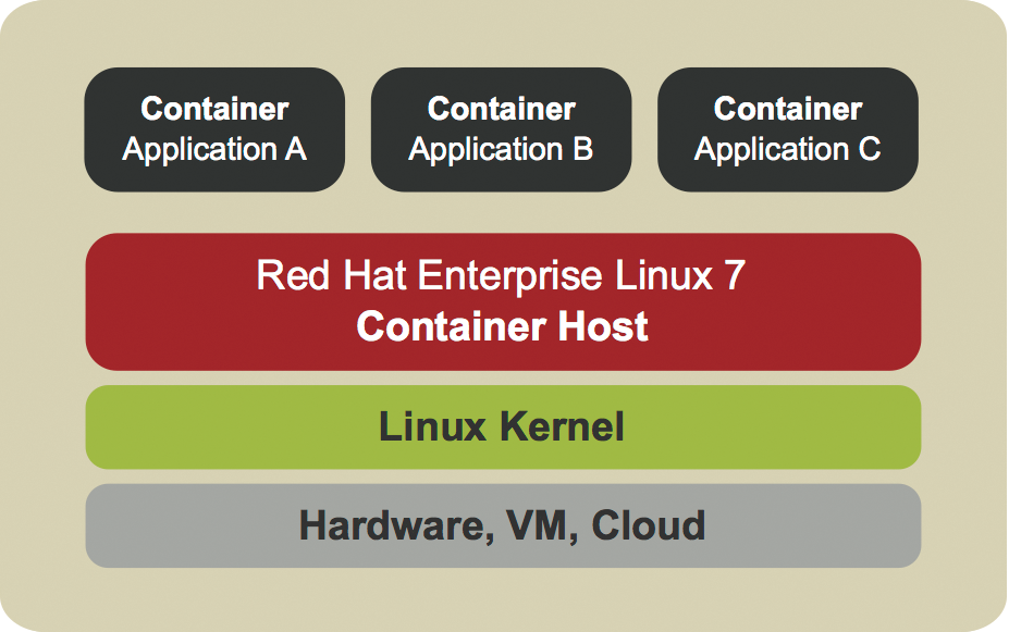 System containers usually share the operating system with the host system and only virtualize a single application. 