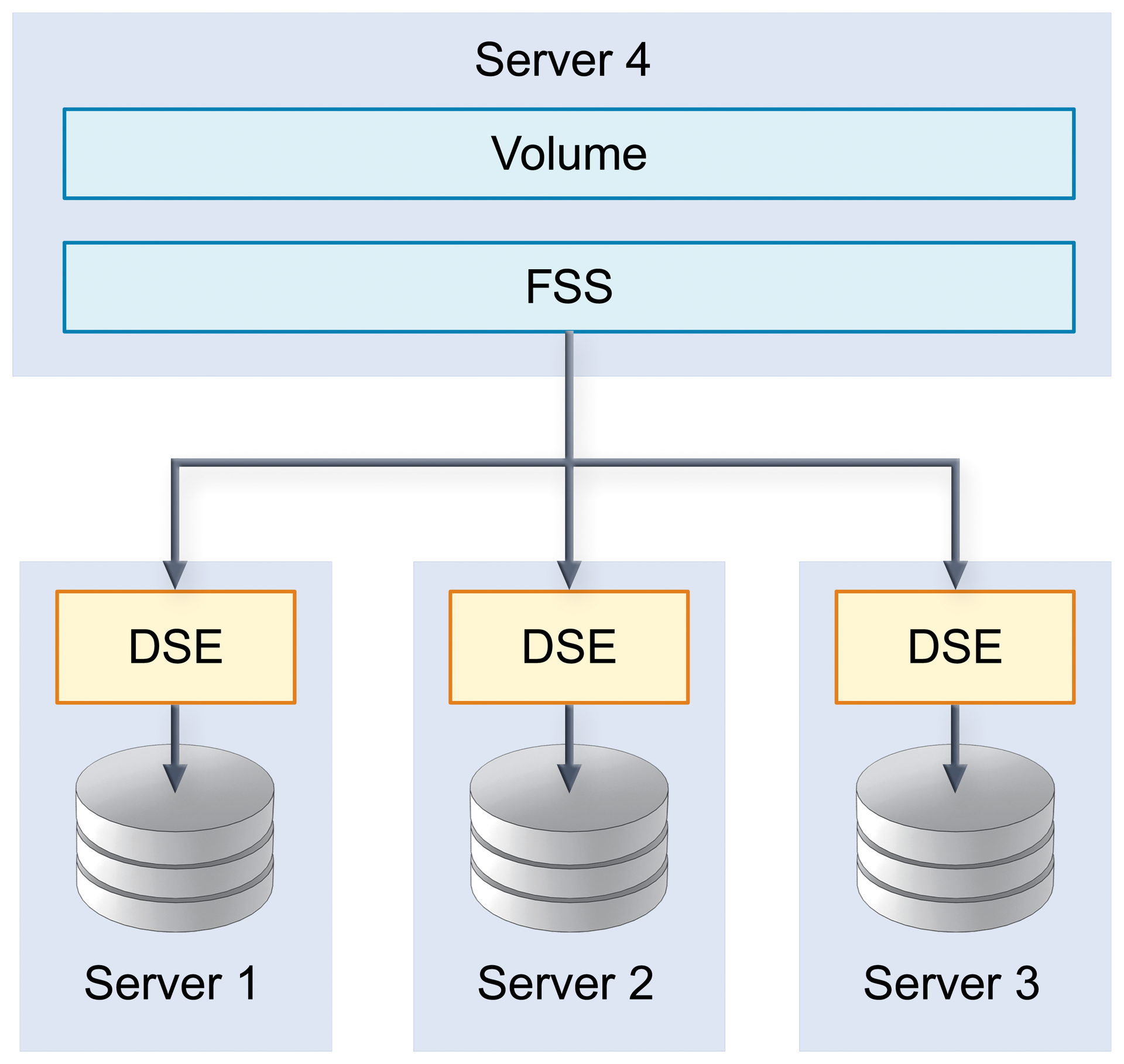 DSEs provide storage space, which the FSS then uses to provide a volume. 