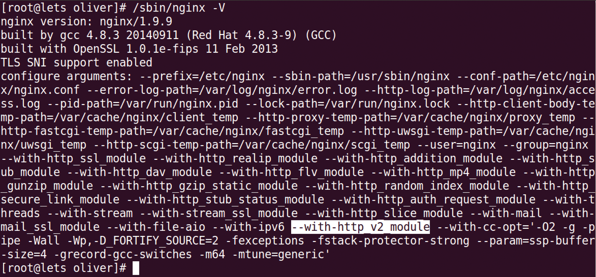 A call to nginx -V reveals whether the web server supports the HTTP/2 protocol. 