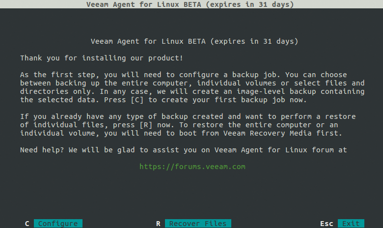The Veeam Agent for Linux user interface takes you through the individual steps in a terminal. 