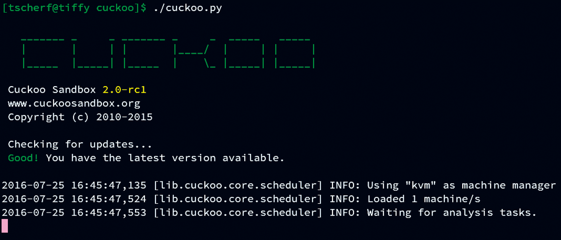 After the ASCII art welcome message, Cuckoo waits for incoming malware analysis jobs. 